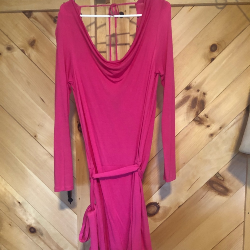 Haute Hippie Pink dress